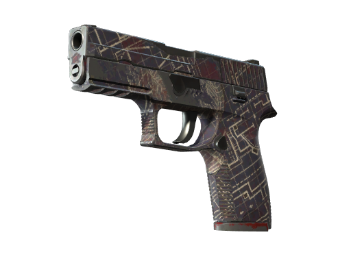 P250 | Facility Draft (Field-Tested)