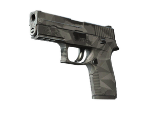 P250 | Facets (Well-Worn)