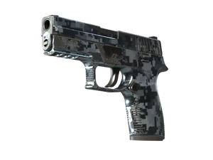 P250 | Steel Disruption (Field-Tested)