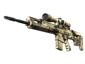 SCAR-20 | Palm (Well-Worn)