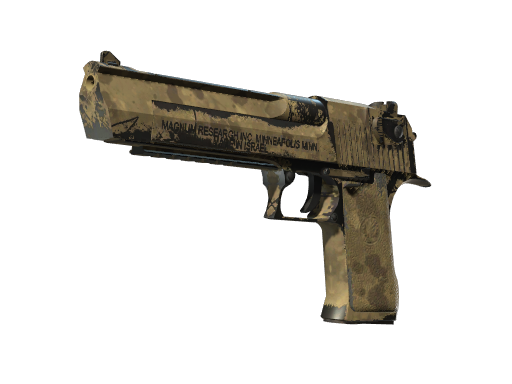 Desert Eagle | Mudder (Well-Worn)