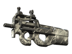 P90 | Ash Wood (Well-Worn)