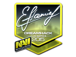 flamie (Foil) | Cluj-Napoca 2015