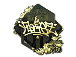 FlameZ (Gold) | Rio 2022