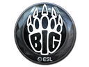 BIG (Foil) | Katowice 2019