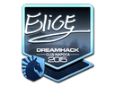 EliGE (Foil) | Cluj-Napoca 2015
