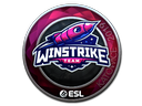 Winstrike Team (Foil) | Katowice 2019