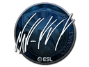NAF (Foil) | Katowice 2019