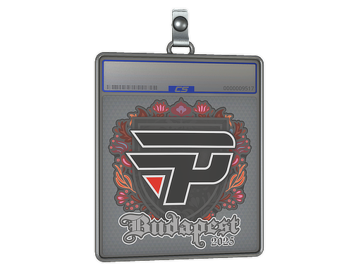 Sticker Slab: paiN Gaming | Budapest 2025