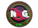 NRG (Holo) | Katowice 2019