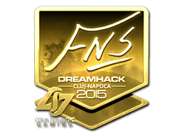 FNS (Gold) | Cluj-Napoca 2015