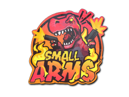 Small Arms