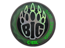 BIG (Holo) | Katowice 2019