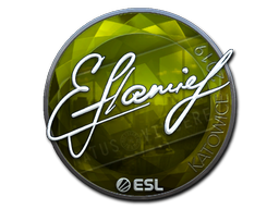 flamie (Foil) | Katowice 2019