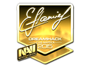 flamie (Gold) | Cluj-Napoca 2015