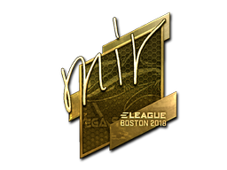 mir (Gold) | Boston 2018