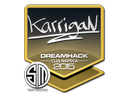 karrigan | Cluj-Napoca 2015