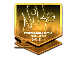 NiKo (Gold) | Cluj-Napoca 2015