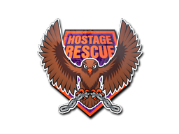 Hostage Rescue