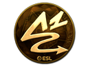 ANGE1 (Gold) | Katowice 2019