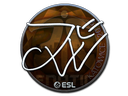 JW (Foil) | Katowice 2019